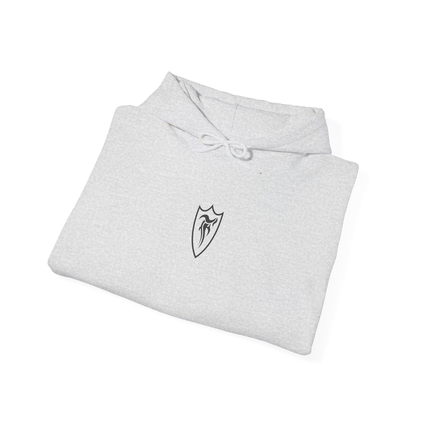 FGR Race Trophy Truck Hoodie