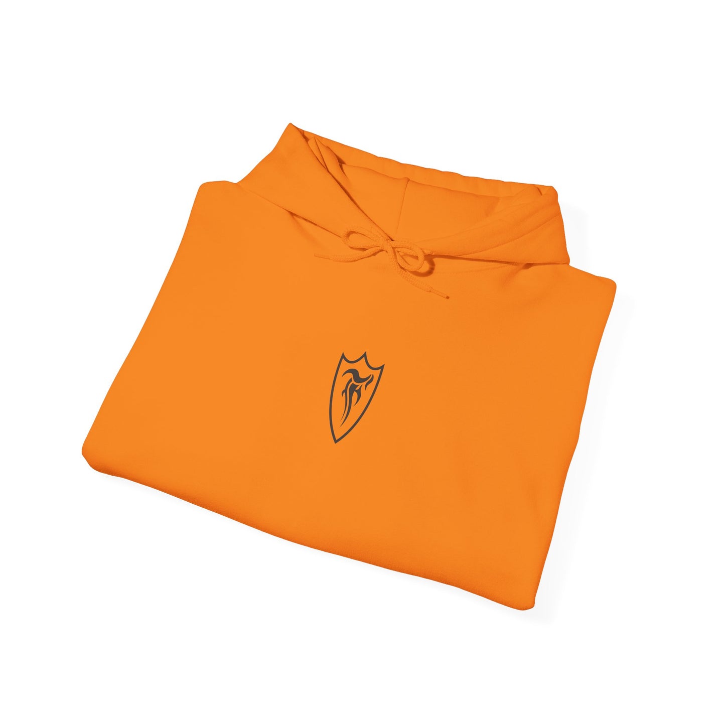 FGR Race Trophy Truck Hoodie