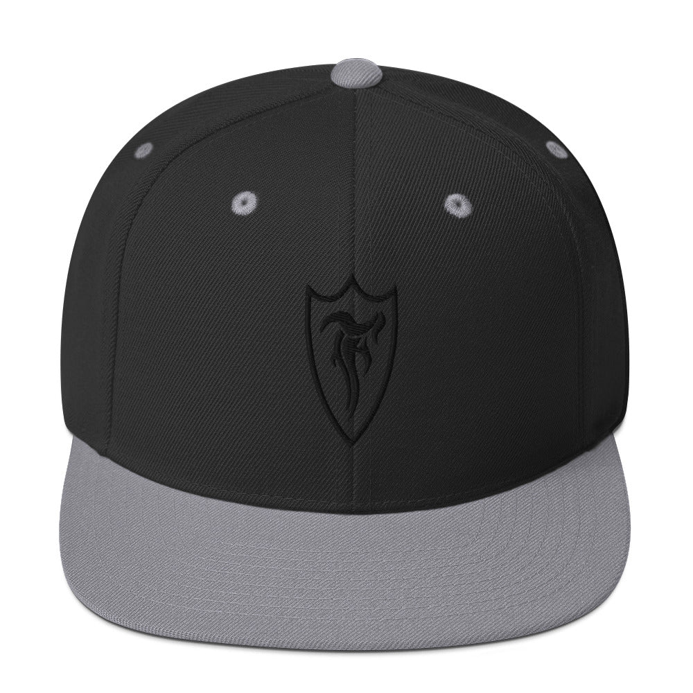 STELTH Snapback