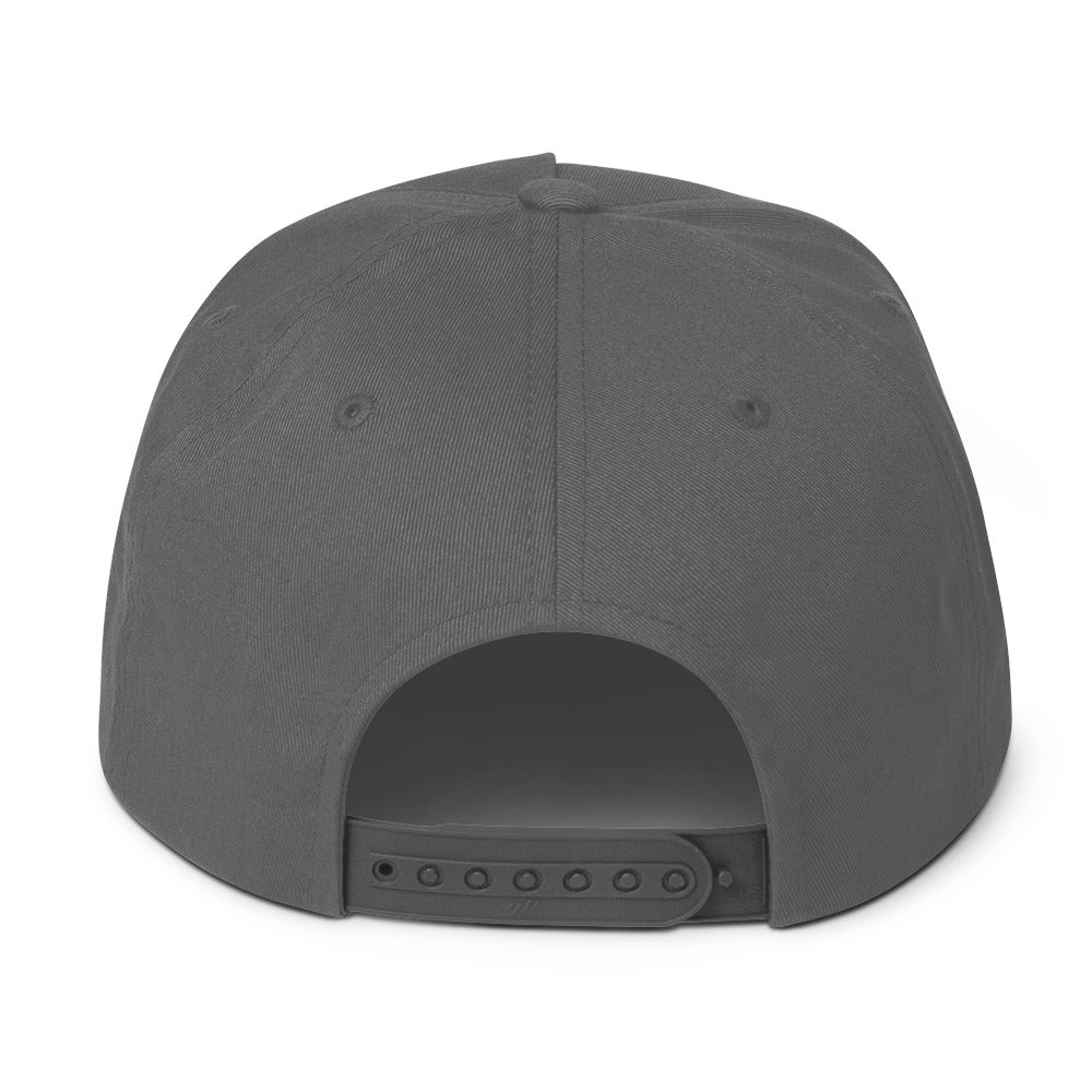 stream liner Flat Bill