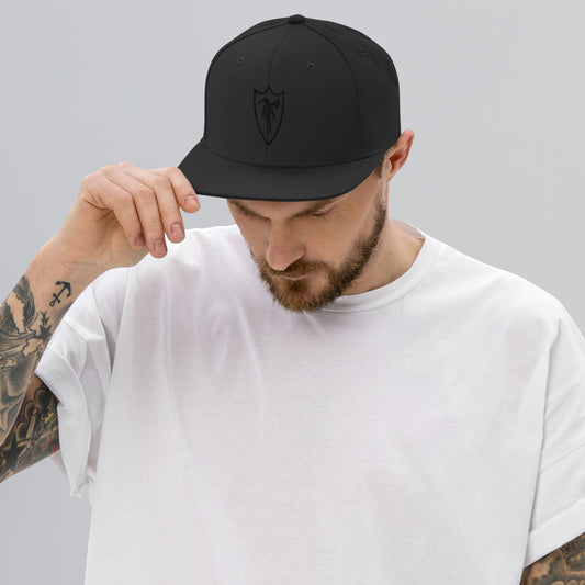 STELTH Snapback