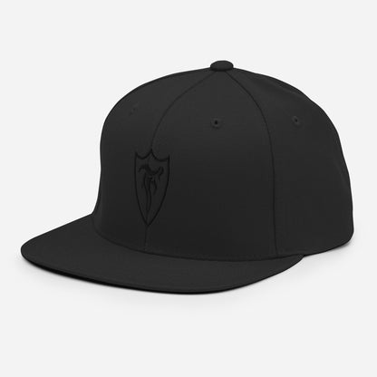 STELTH Snapback