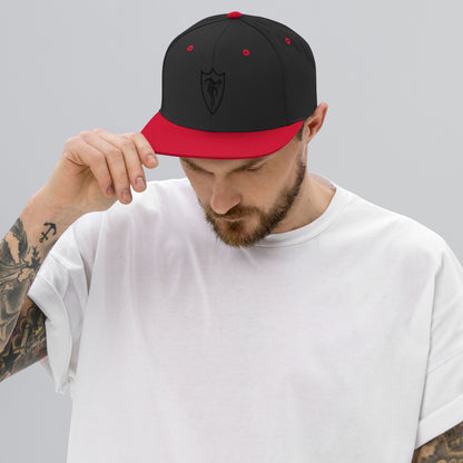 STELTH Snapback