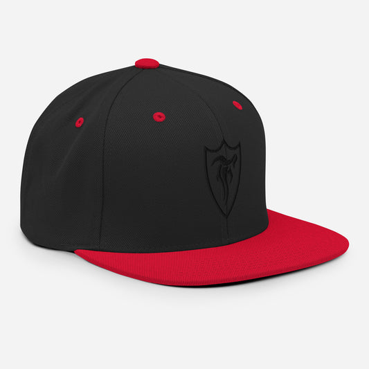 STELTH Snapback