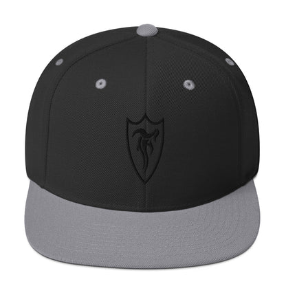 STELTH Snapback