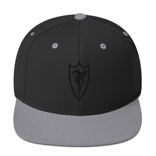 STELTH Snapback