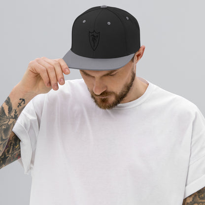 STELTH Snapback