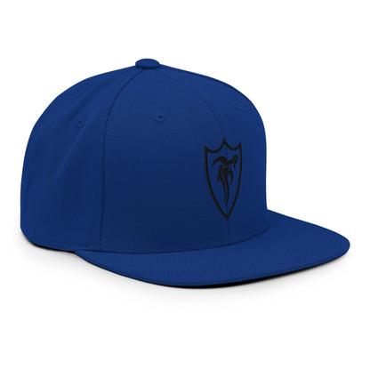 STELTH Snapback