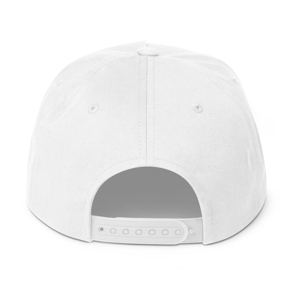 stream liner Flat Bill